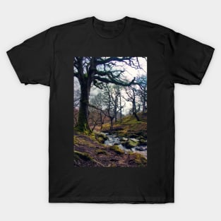 Restless Waters T-Shirt